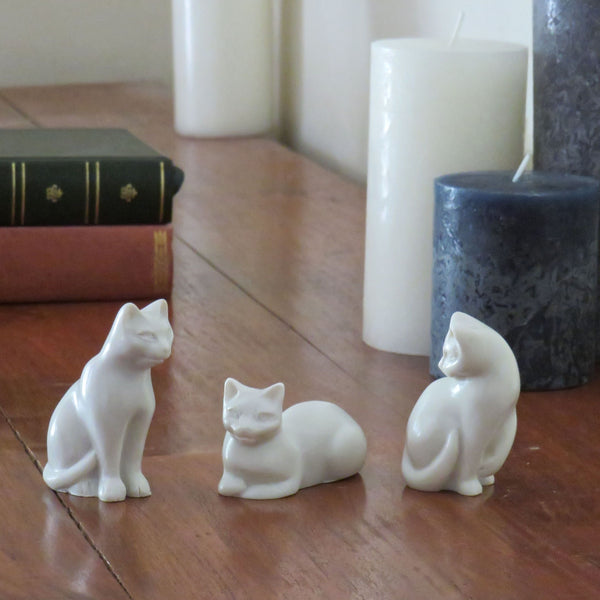 Ensemble de petits chats