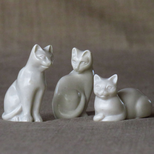 Ensemble de petits chats