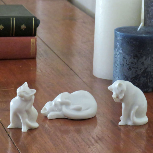 Ensemble de petits chats
