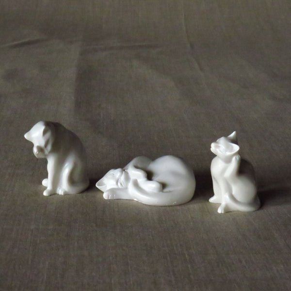 Ensemble de petits chats