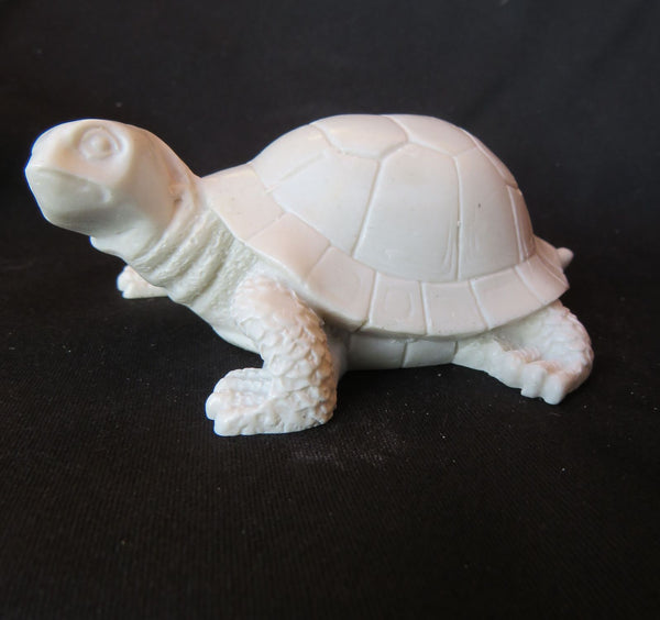 Tortue grincheuse