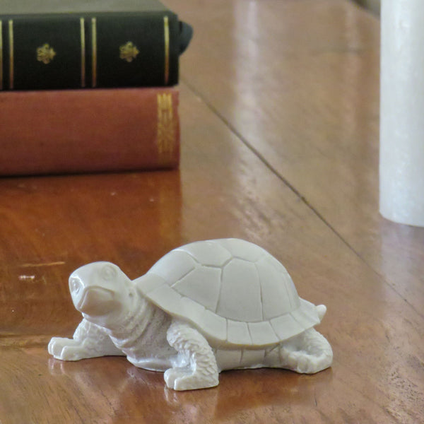 Tortue grincheuse