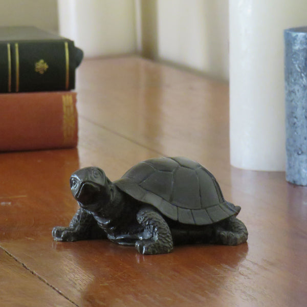 Tortue grincheuse
