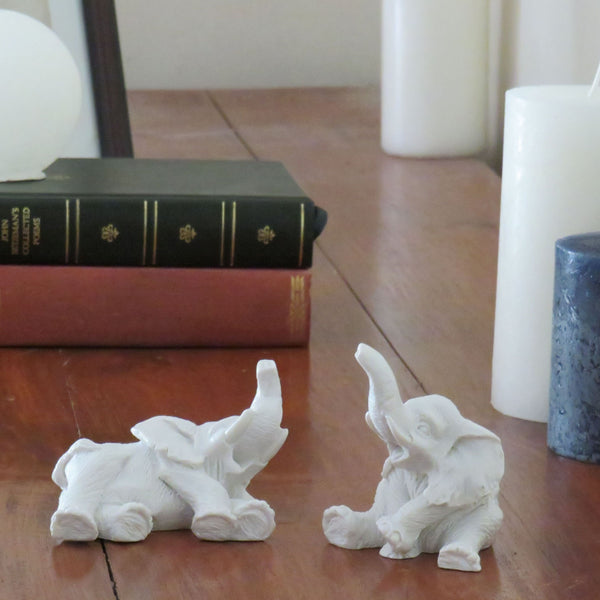Duo d'éléphants joueurs