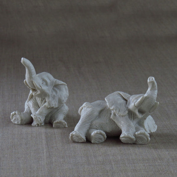 Duo d'éléphants joueurs