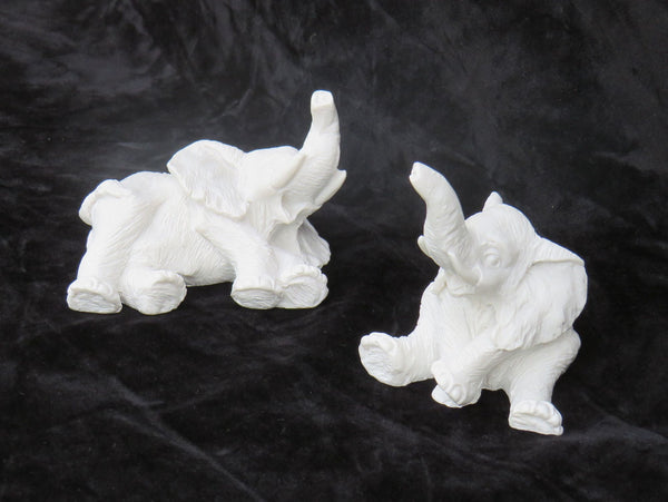Duo d'éléphants joueurs